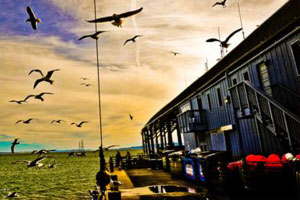 免费短信电话轰炸机